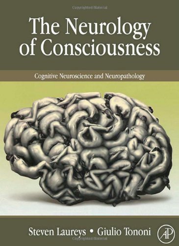 The Neurology of Consciousness