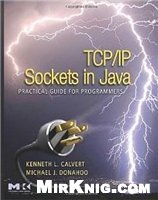 TCP/IP Sockets in Java