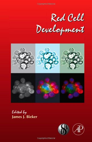 Red Cell Development, 82