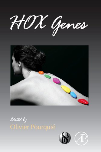HOX Genes, Volume 88 (Current Topics in Developmental Biology)