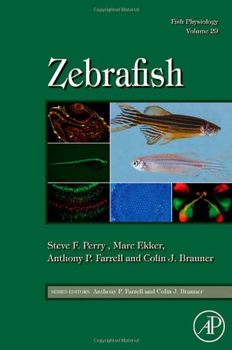 Fish Physiology, Volume 29