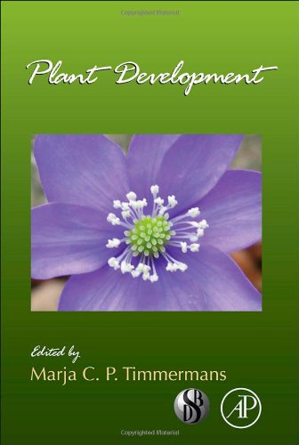 Plant Development, Volume V91 (Current Topics In Developmental Biology)