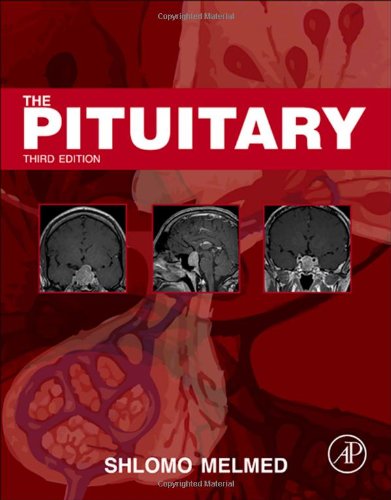 The Pituitary