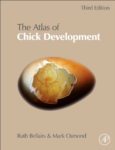 Atlas of Chick Development