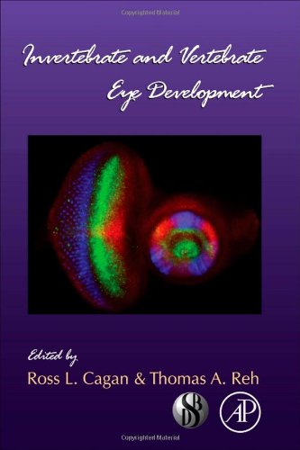 Invertebrate and Vertebrate Eye Development, 93