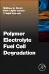 Polymer Electrolyte Fuel Cell Degradation