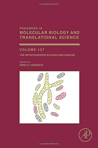 Progress in molecular biology and translational science. Volume one hundred and twenty seven, The mitochondrion in aging and disease