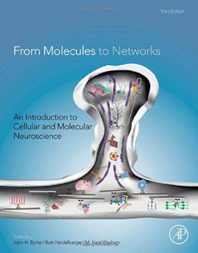 From Molecules to Networks