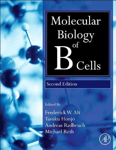 Molecular Biology of B Cells