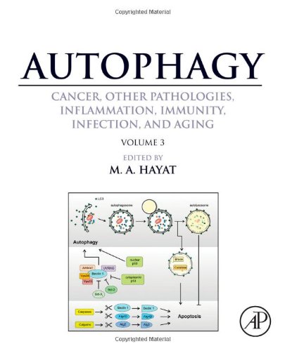 Autophagy