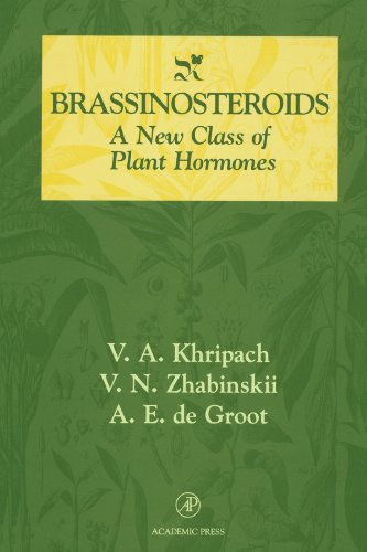 Brassinosteroids
