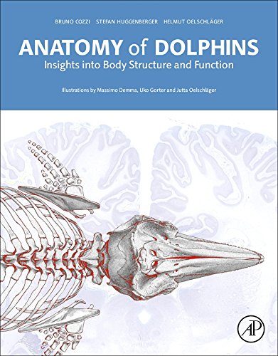 Anatomy of dolphins : insights into body structure and function