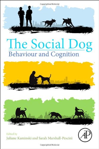 The Social Dog