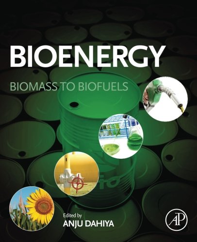 Biomass to Biofuels