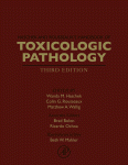 Haschek and Rousseaux's Handbook of Toxicologic Pathology