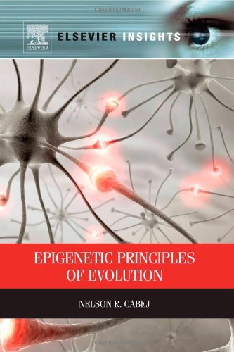 Epigenetic Principles of Evolution