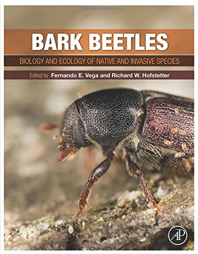 Bark Beetles