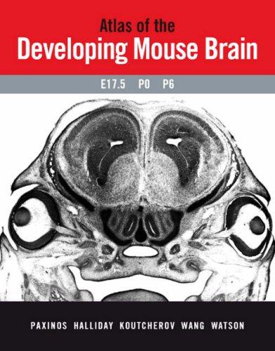 Atlas of the Developing Mouse Brain: E17.5, P0 and P6