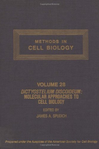 Methods in Cell Biology, Volume 28