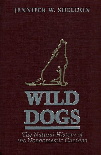 Wild Dogs