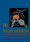 DNA Structure and Function