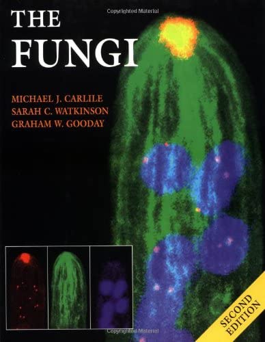 The Fungi