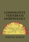 Comparative Vertebrate Morphology