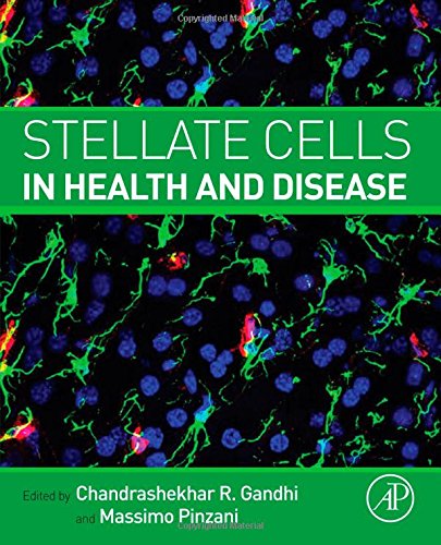 Stellate Cells in Health and Disease