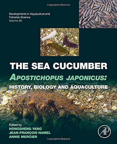 The sea cucumber Apostichopus japonicus : history, biology and aquaculture