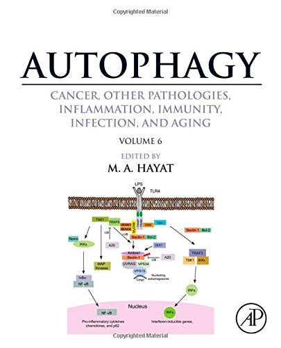 Autophagy