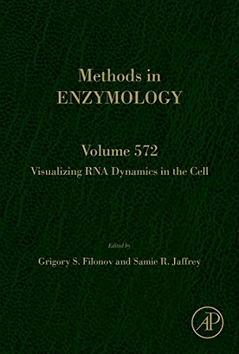 Visualizing RNA dynamics in the cell