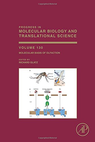 Molecular Basis of Olfaction, 130