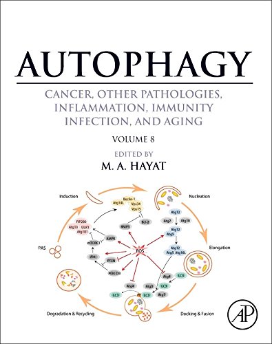 Autophagy : Cancer.