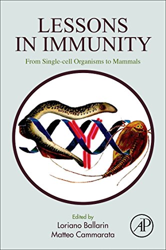 Lessons in immunity : from single-cell organisms to mammals