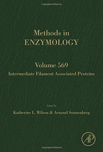 Intermediate Filament Associated Proteins