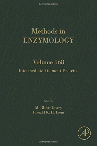 Intermediate Filament Proteins