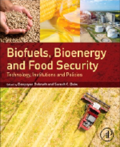 Biofuels, Bioenergy and Food Security