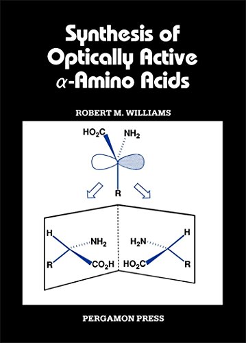 Semiconductor Nanowires II