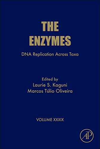 The enzymes. Volume 39, DNA replication across taxa