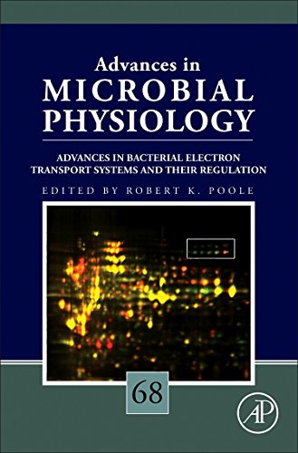 Advances in bacterial electron transport systems and their regulation