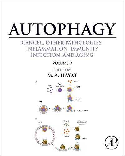 Autophagy : Cancer.