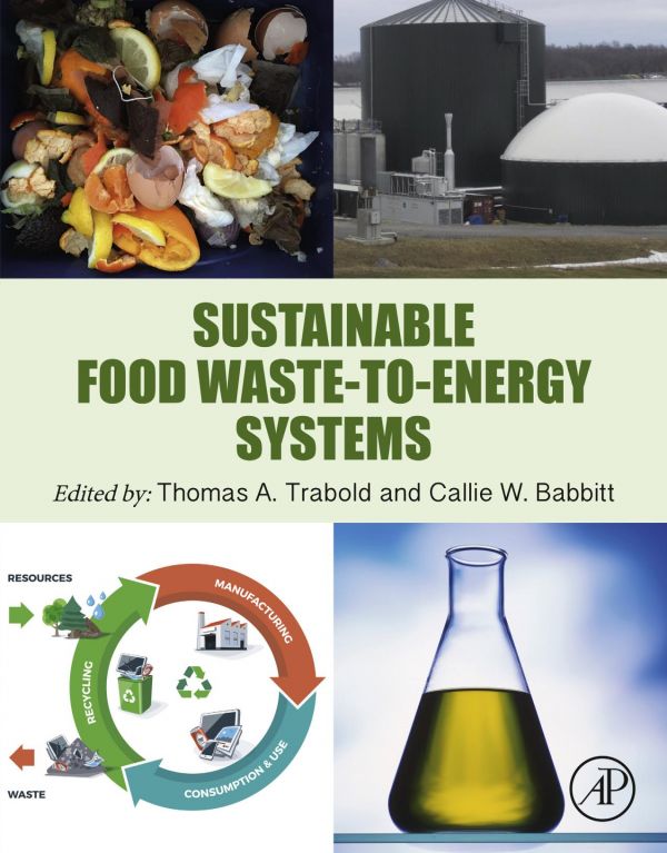 Sustainable food waste-to-energy systems