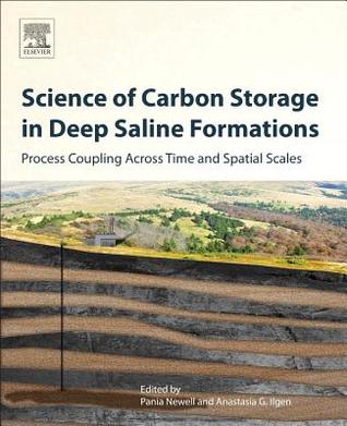 Science of Carbon Storage in Deep Saline Formations