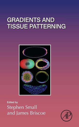 Gradient-mediated patterning mechanisms in development