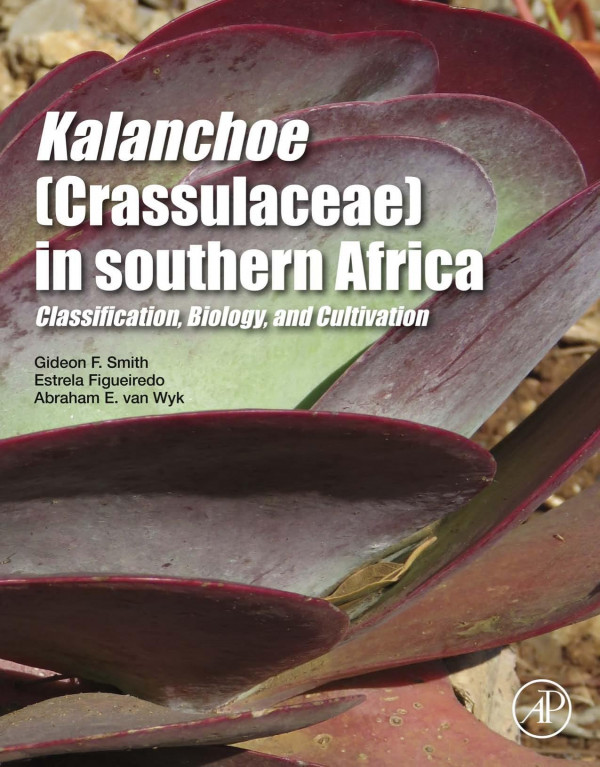 Kalanchoe (Crassulaceae) in Southern Africa