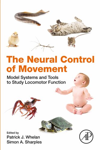 The Neural Control of Movement