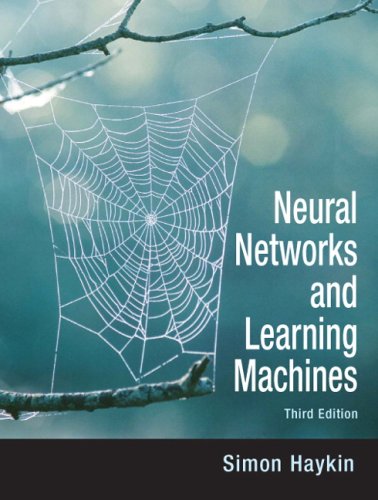 Neural Networks and Learning Machines