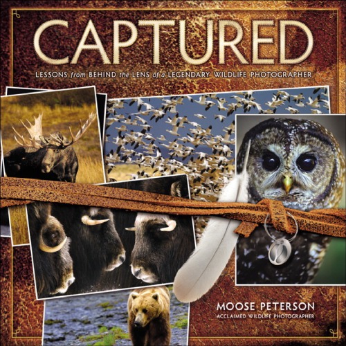 Captured : lessons from behind the lens of a legendary wildlife photographer. - Description based on print version record. - Includes index