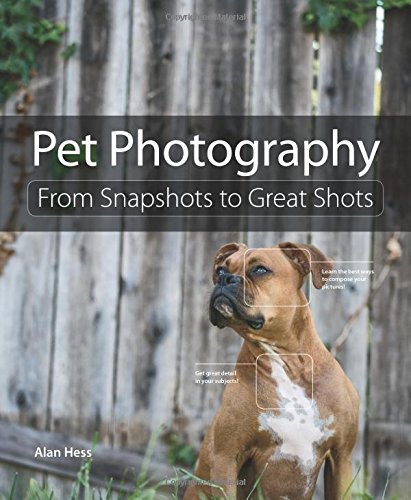 Pet Photography