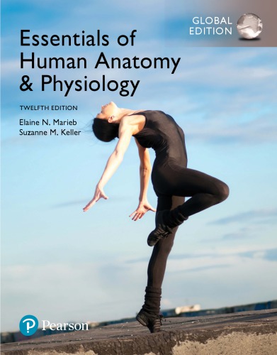 Essentials of Human Anatomy &amp; Physiology